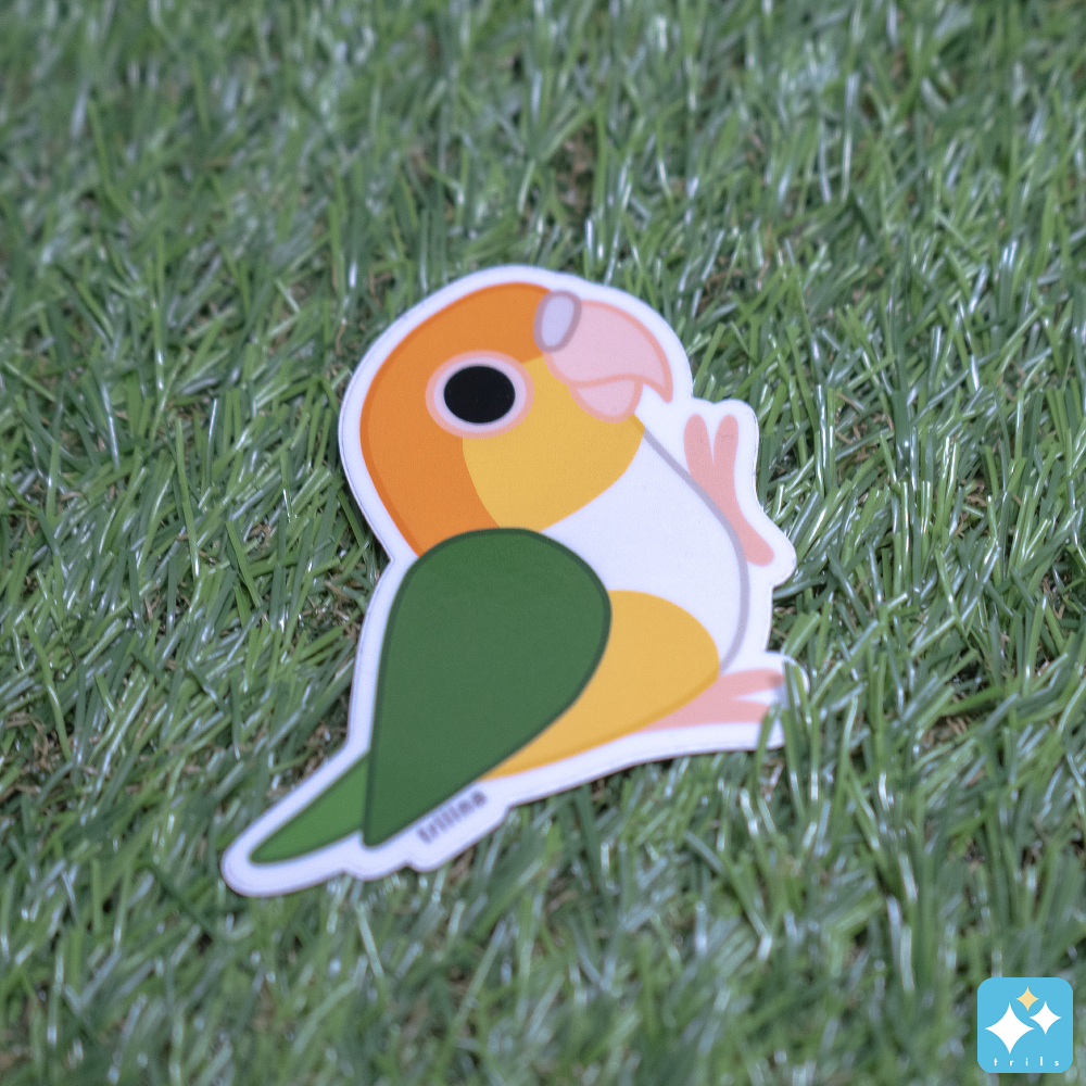 Caique Weatherproof Sticker