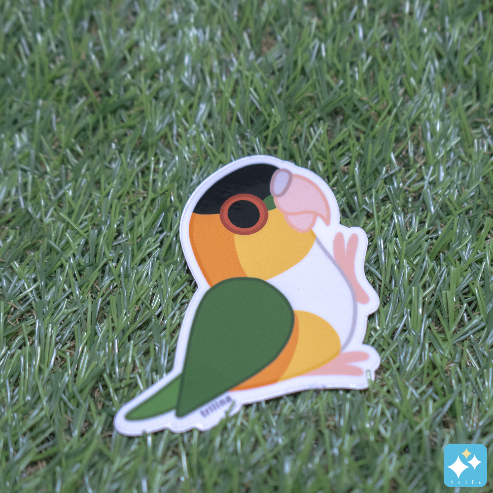 Caique Weatherproof Sticker