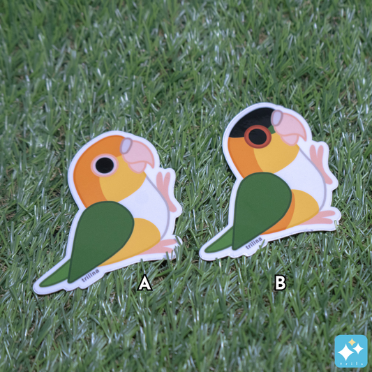 Caique Weatherproof Sticker