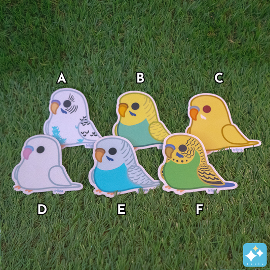 Budgie Stickers Weatherproof