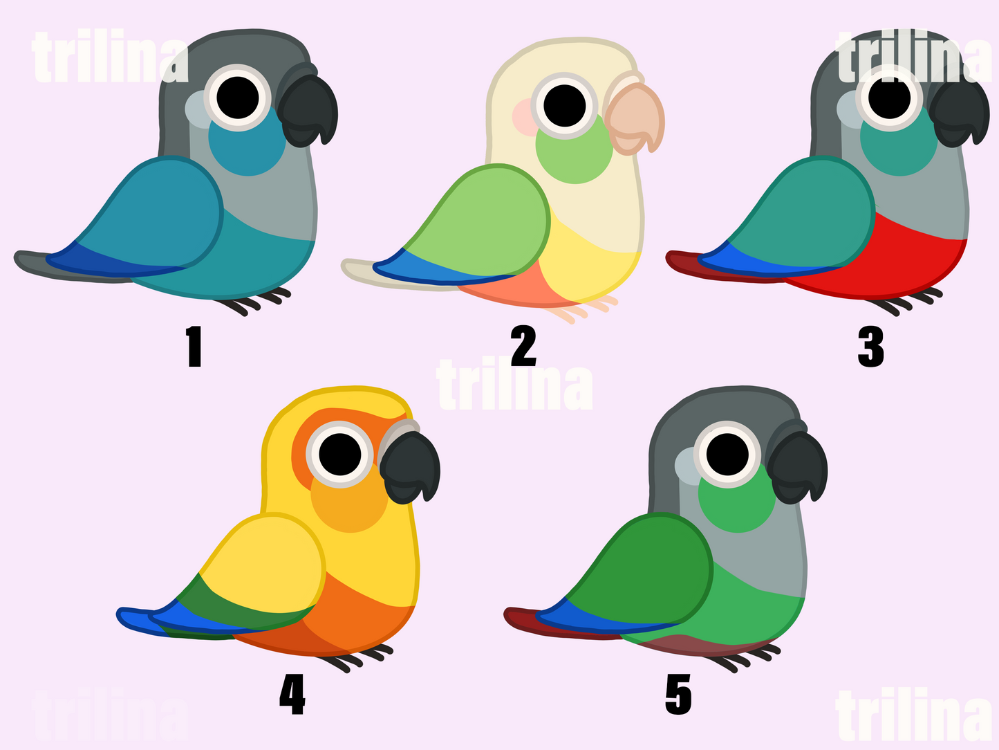 Conure Stickers Weatherproof